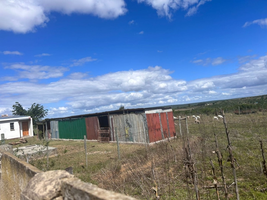 Commercial Property for Sale in Alice Eastern Cape